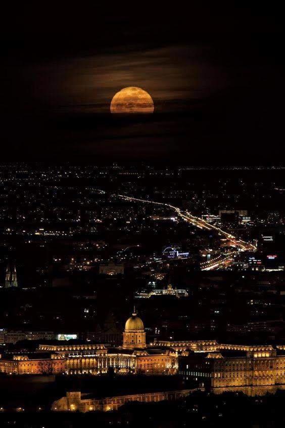 Artemisia Luxury Apartments Jardin Budapest Esterno foto